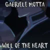 About Will of the Heart From "Bleach" Song