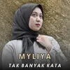 About Tak Banyak Kata Song