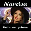 About Crize de gelozie Song