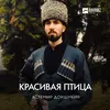 About Красивая птица Song