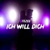 About Ich Will Dich Instrumental Song