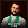 About Ya Mehdi Song