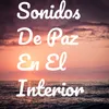 Instrumental De Recreacion