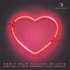 About Can't Help Falling In Love Song