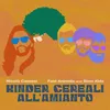 About Kinder Cereali all'amianto Song