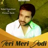 About Teri Meri Jodi Song