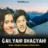 About Gailyani Bhagyani Song