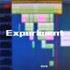 About Experiment Song