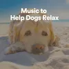 Music to Help Dogs Relax, Pt. 1