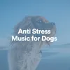 Anti Stress Music for Dogs, Pt. 3