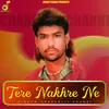 About Tere Nakhre Ne Song