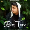 About Bin Tere Song