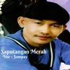 Saputangan Merah