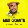 About Meu gigante Song