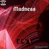 About MADNESS Song