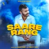 About Saare Rang Song