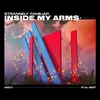About Inside My Arms Song