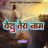 About Yeshu Tera Naam Song