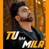 About Tu Naa Mila Song