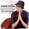 About Nabze Ehsas Remix Song