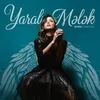 About Yaralı Mələk Song