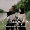 About Dalam Sepiku Kaulah Candaku - Cintaku Song