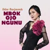 Mbok Ojo Ngunu