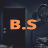 About B.S Song