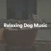 Relaxing Dog Music, Pt. 4