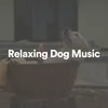 Relax Your Dog