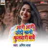 About Aari Aari Chhoudi Khali Phulwari Wabe Song