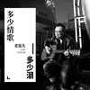 About 多少情歌多少泪 Song