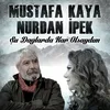 About Şu Dağlarda Kar Olsaydım Song