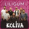 About Liligum Akustik Song