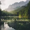 Música de Relajación Total