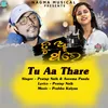 About Tu Aa Thare Song