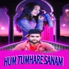 Hum Tumhare Sanam