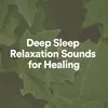 Deep Sleep Relaxation Sounds for Healing, Pt. 5