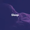 Sleep, Pt. 3