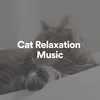 Cat Relaxation Music, Pt. 1