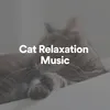 Cat Relaxation Music, Pt. 4