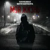 About Моя жизнь Song