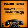 About What's Your Telephone Number??? Song