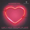 Can't Help Falling In Love Extended Mix