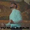 About Tu Nun O Saje Song