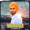 About Mohali Song