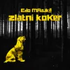 About Zlatni koker Song