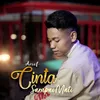 About Cinta Sampai Mati Song