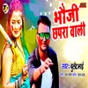 About Bhauji Chhapra Wali Song