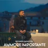 About Ammore Importante Song